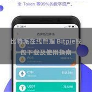 比特派在线管理 Bitpie钱包下载及使用指南