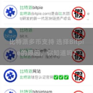 比特派多币支持 选择Bitpie的原因，你知道吗？