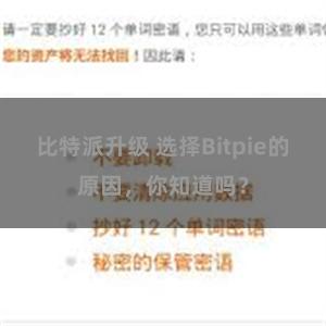 比特派升级 选择Bitpie的原因，你知道吗？