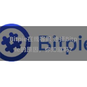 Bitpie在线客服 选择Bitpie的原因，你知道吗？