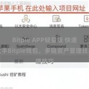 Bitpie APP轻量版 快速上手Bitpie钱包，多链资产管理技巧