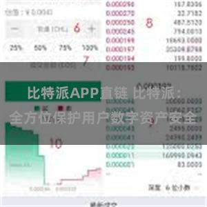 比特派APP直链 比特派：全方位保护用户数字资产安全