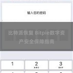 比特派恢复 Bitpie数字资产安全保障指南