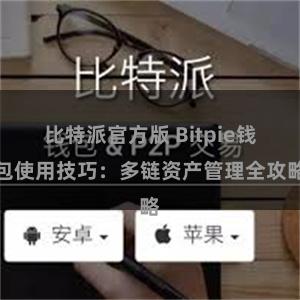 比特派官方版 Bitpie钱包使用技巧：多链资产管理全攻略