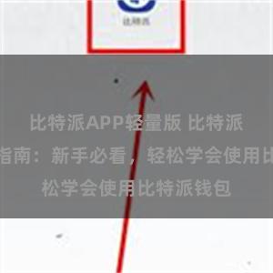 比特派APP轻量版 比特派钱包入门指南：新手必看，轻松学会使用比特派钱包