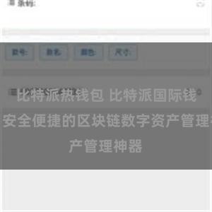 比特派热钱包 比特派国际钱包：安全便捷的区块链数字资产管理神器