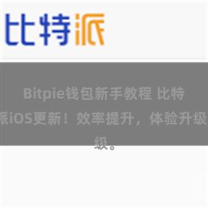Bitpie钱包新手教程 比特派iOS更新！效率提升，体验升级。